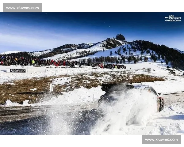 WRC积分榜：谁能顶住压力，谁将黯然离场